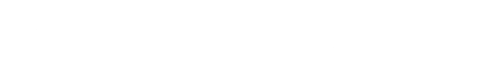 Human Solid Plasma